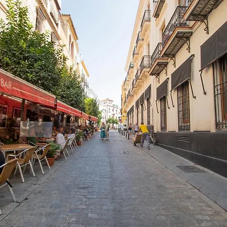 Ubicacion Junto Catedral A Acond Y Wifi Seville