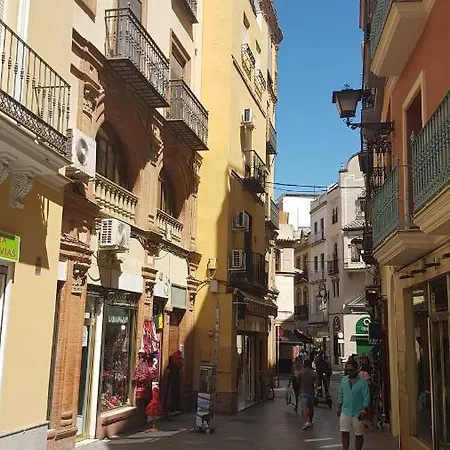 Apartment Ubicacion Junto Catedral A Acond Y Wifi *